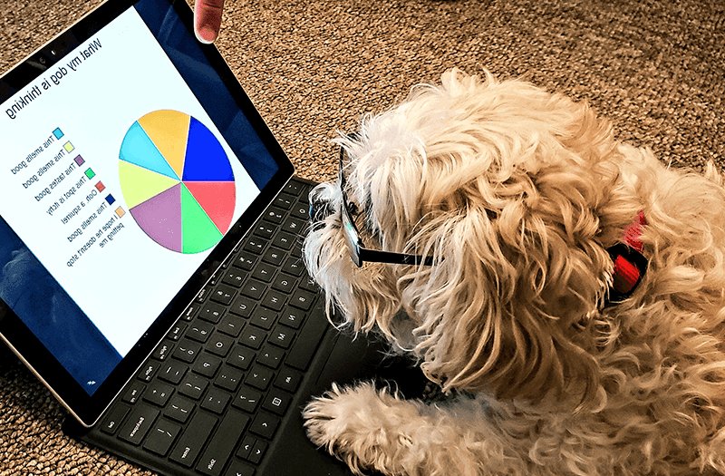 Cute dog analyzing data chart
